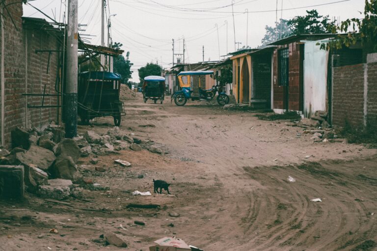 shanties and a dirt road