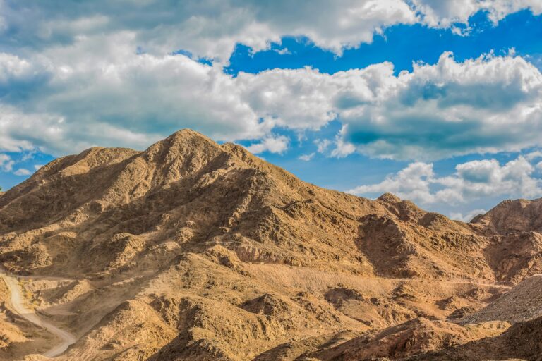 Israel desert